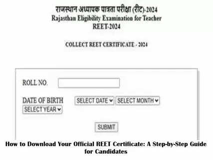 How to Download Your Official REET Certificate: A Step-by-Step Guide for Candidates